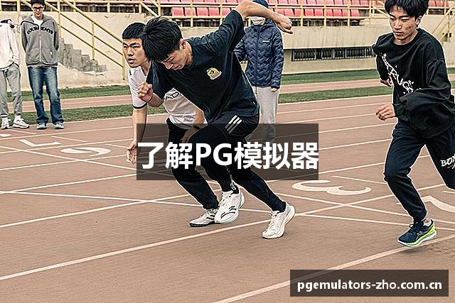 了解PG模拟器
